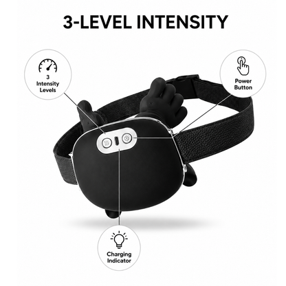 Woofly Pet Massager